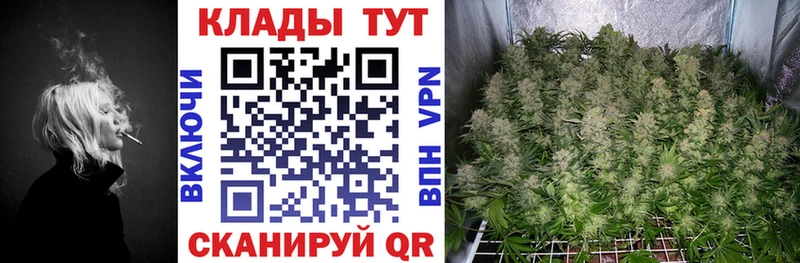 Купить наркотики цена Партизанск Бошки Шишки  Alpha PVP  БУТИРАТ  КОКАИН  Codein  ГАШ 