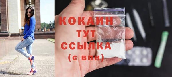 прущие грибы Арсеньев