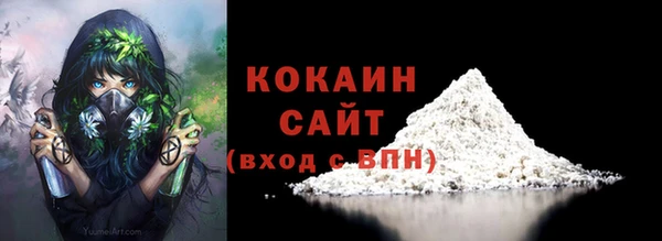 прущие грибы Арсеньев