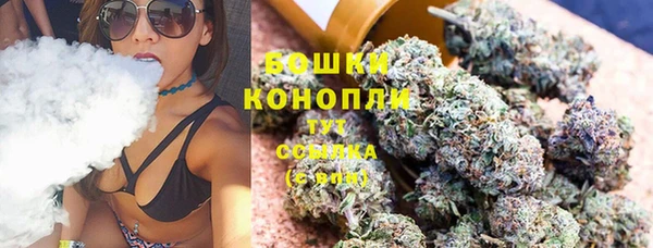 прущие грибы Арсеньев
