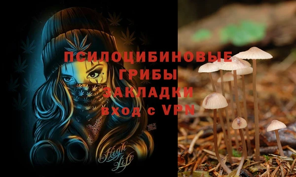 альфа пвп Армянск