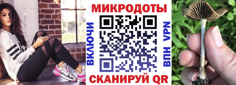 Псилоцибиновые грибы MAGIC MUSHROOMS  цена наркотик  Партизанск 